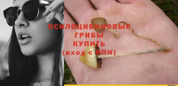 гидропоника Арсеньев