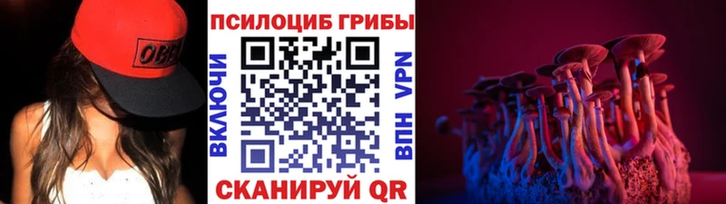 Галлюциногенные грибы ЛСД  Сасово 